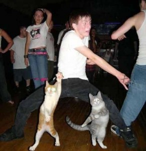dancing with cats